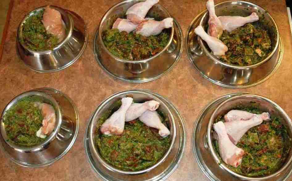 Natural Dog Food What Is It? Best Dog Foods and Holistic Dog Health