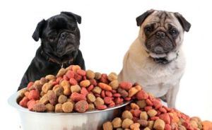 dog food comparison
