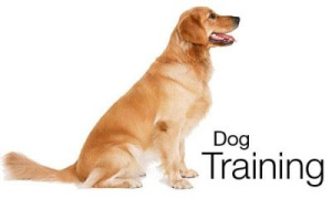 Dog Training DVDs