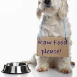 Raw Dog Food for a Healthy Dog