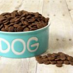 Dry Dog Food Reviews for You