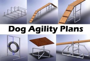Dog Agility Equipment Plans - Best Dog Foods and Holistic Dog Health ...