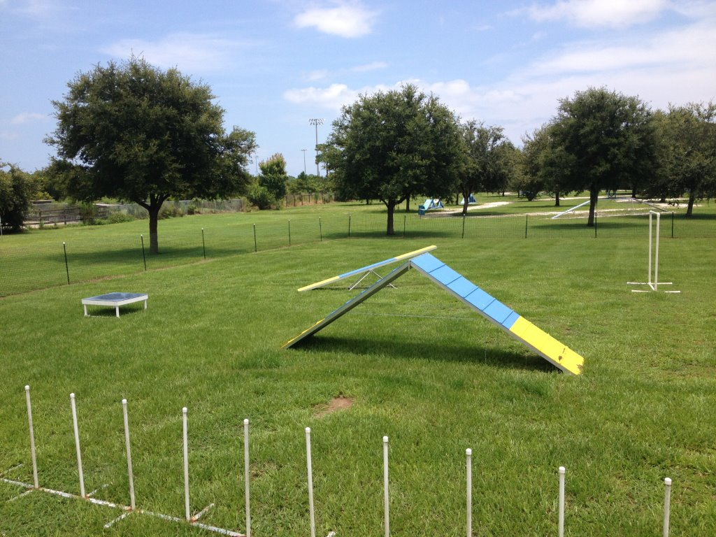 Used Dog Agility Equipment Best Dog Foods and Holistic Dog Health