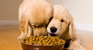 Commercial Pet Food Companies