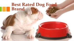 Best Dog Food