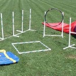 Agility Equipment for Sale